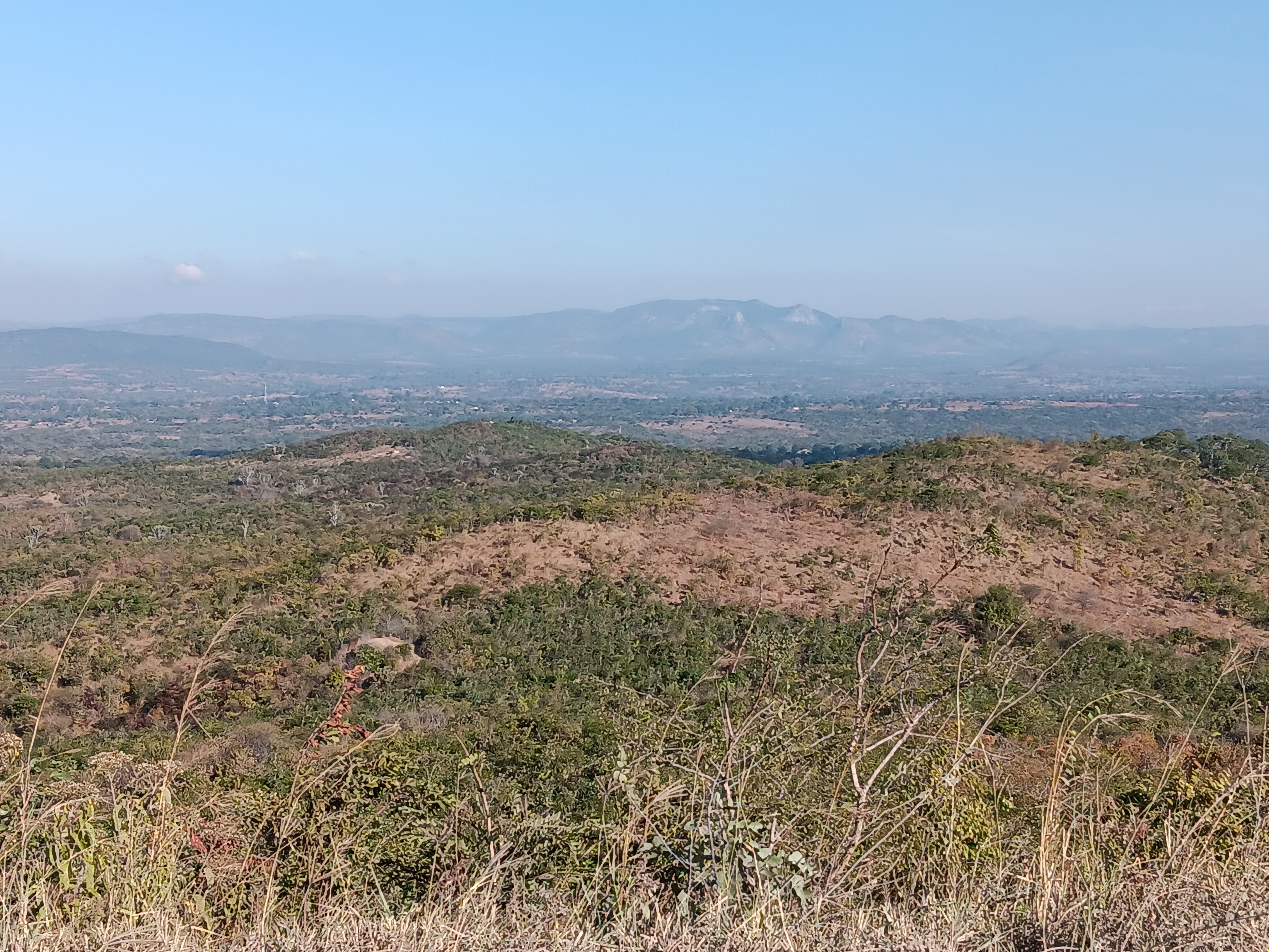 Remote Sensing and GIS